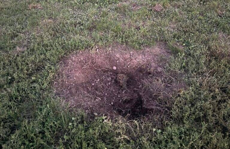 Bollate rompe tendine buca