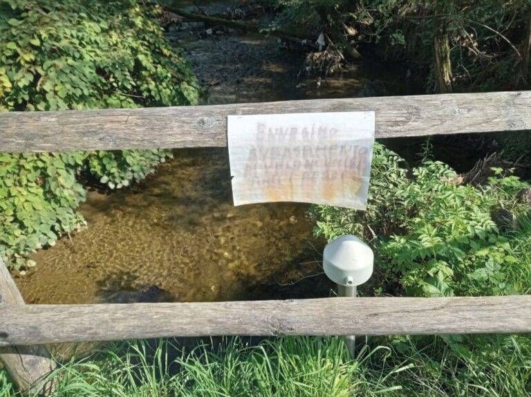 Bollate, strage di pesci nel Pudiga: è un giallo Bollate strage pesci Pudiga