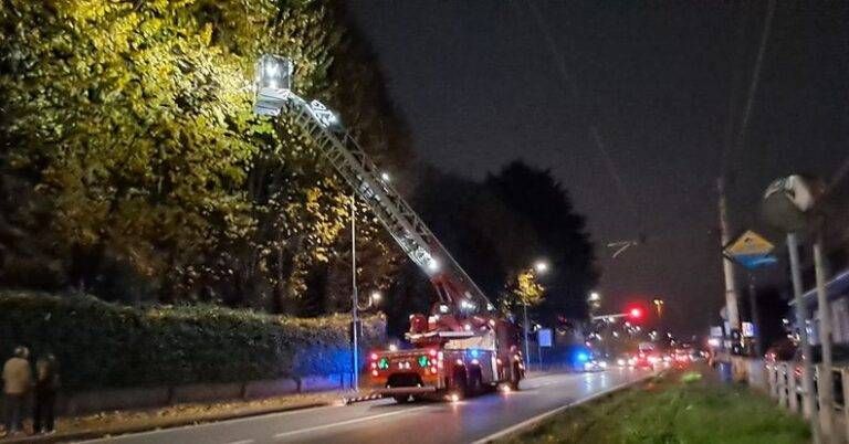 gatto comasina cromano