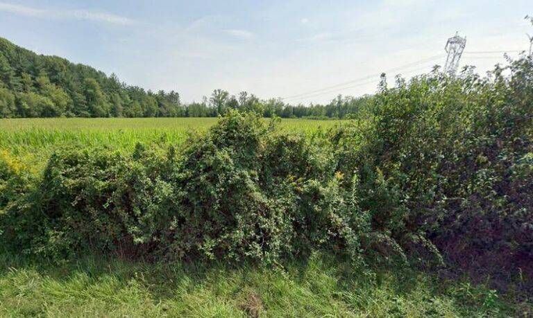 Via libera alla stazione elettrica nel Parco delle Groane: in cambio lavori per 1,39 milioni di euro La zona in cui verrà realizzata la stazione elettrica nel Parco Groane