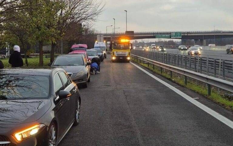 Immagine WhatsApp 2024 12 14 ore 16.47.59 0b801af1 768x483