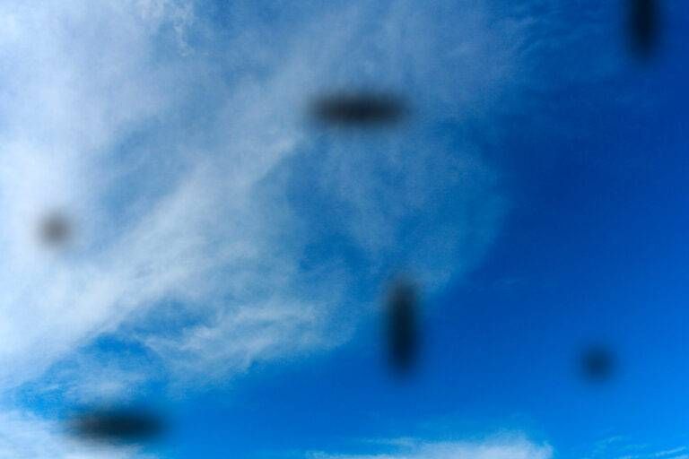 miodesospsia mosche volanti