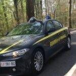 truffa auto guardia di finanza
