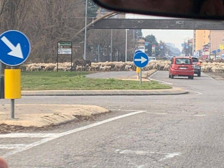 IMG 20250101 WA0029 768x576