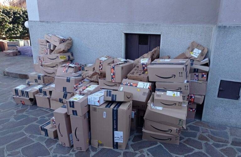 Tutti in aiuto dei gatti dell’Enpa di Saronno: “Un immenso grazie!” Immagine WhatsApp 2025 01 03 ore 13.28.10 1c8f9288 768x502