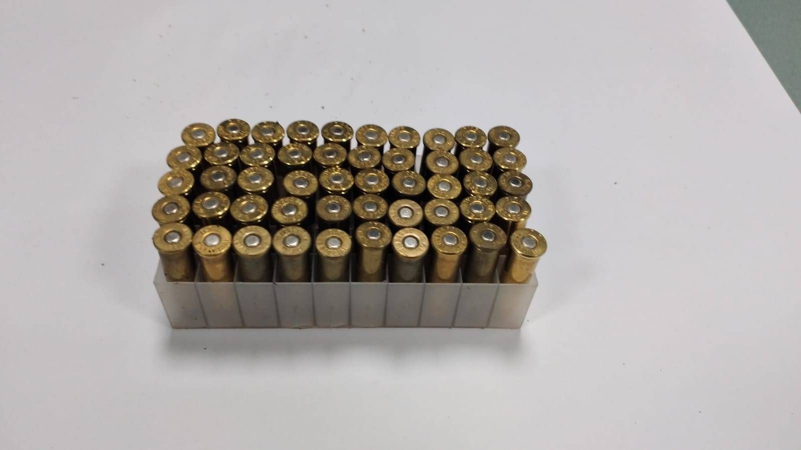 Immagine WhatsApp 2025 01 25 ore 11.42.55 38bd826e