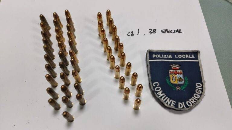Origgio, la polizia locale trova 50 proiettili nel bosco Immagine WhatsApp 2025 01 25 ore 11.42.55 56e62b92 768x432