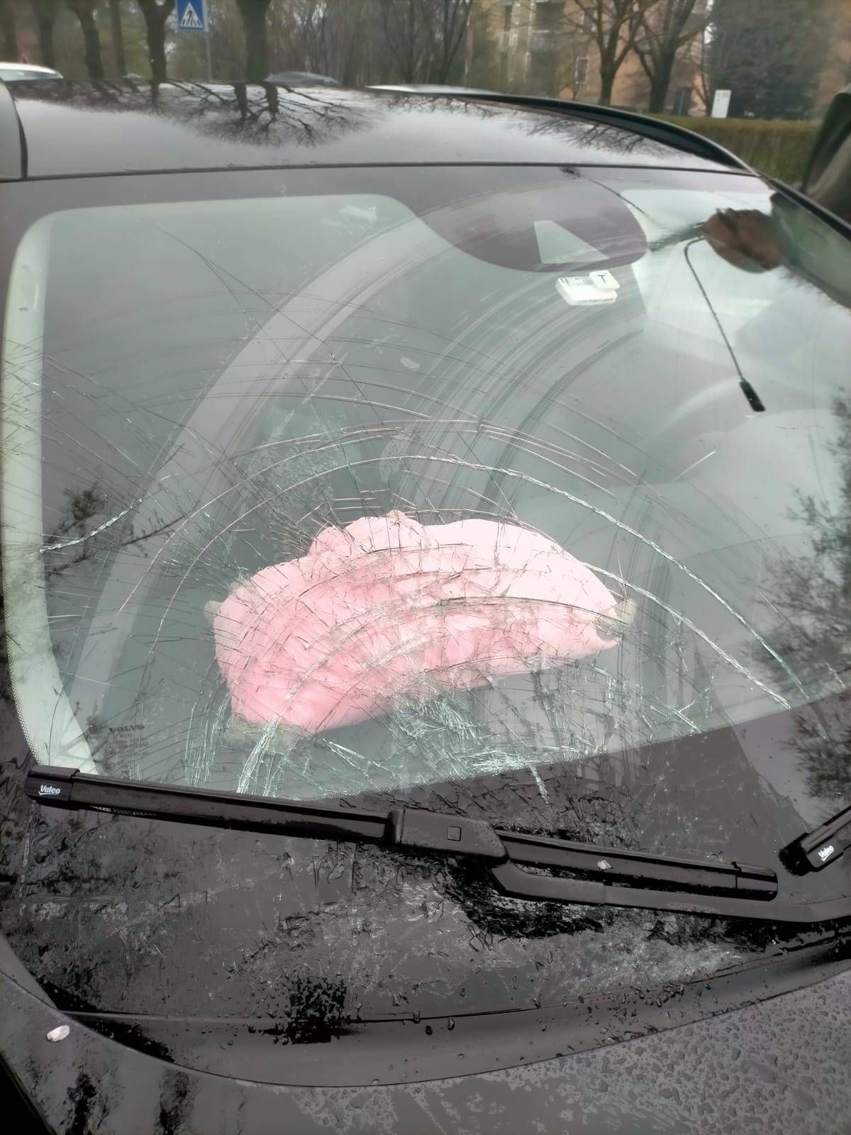 Immagine WhatsApp 2025 03 22 ore 10.24.03 196401c7