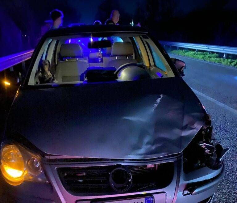 Immagine WhatsApp 2025 04 03 ore 20.11.09 0bc266d7 768x657