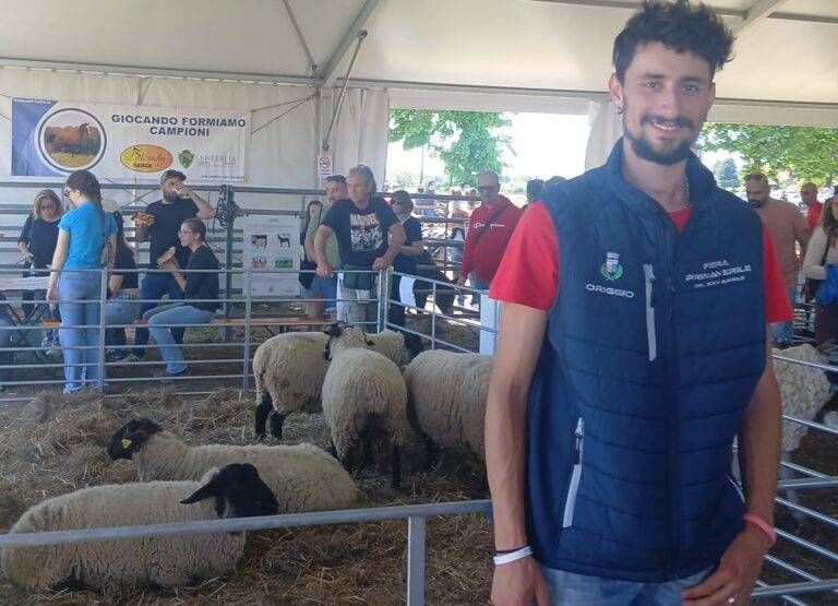 Immagine WhatsApp 2025 04 25 ore 12.35.59 6e3fd4c9 768x555