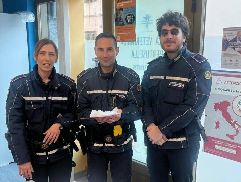 Caronno, bambine salvano un merlo appena nato vigili 768x582