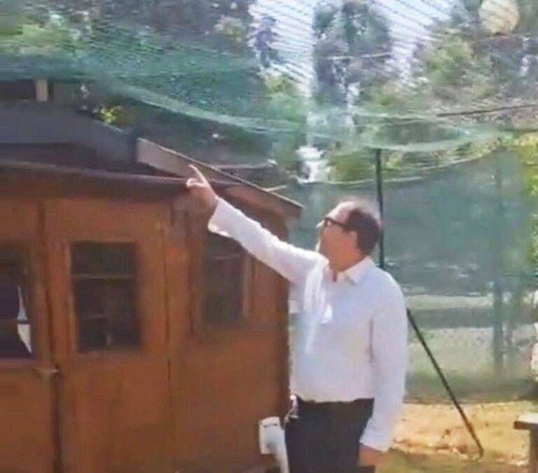 Bollate commercianti Oasi felina