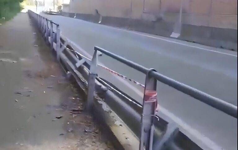 Ceriano Laghetto albero auto strada