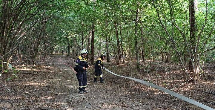 Incendio nel Parco delle Groane a Cesate, fumo visibile anche da Saronno e Limbiate incendio parco groane cesate