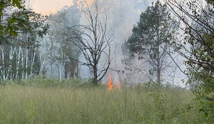 incendio cesate parco