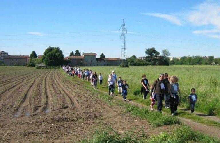 semper verd Bollate 768x502