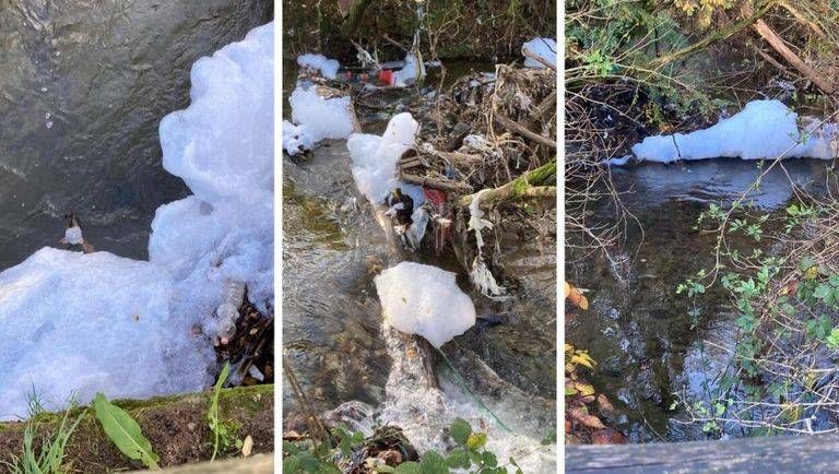 Bollate, schiuma bianca nel torrente Pudiga, arriva da Senago? Pudiga Bollate schiuma