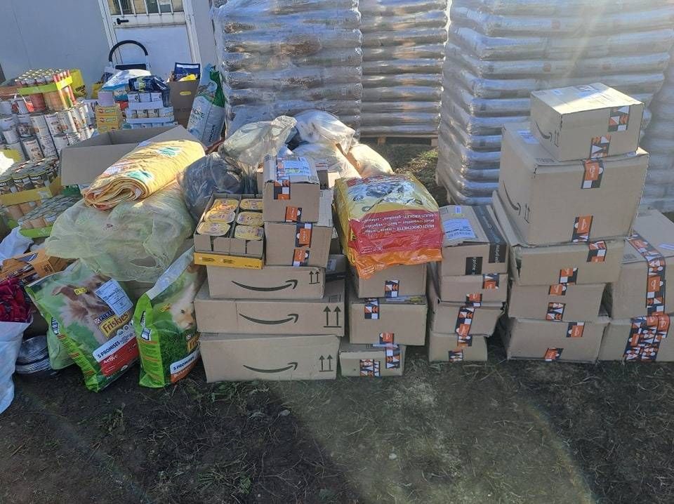 tutti in aiuto del canile di uboldo in difficolt224 da Ilnotiziario.net tutti in aiuto del canile di uboldo in difficolt224