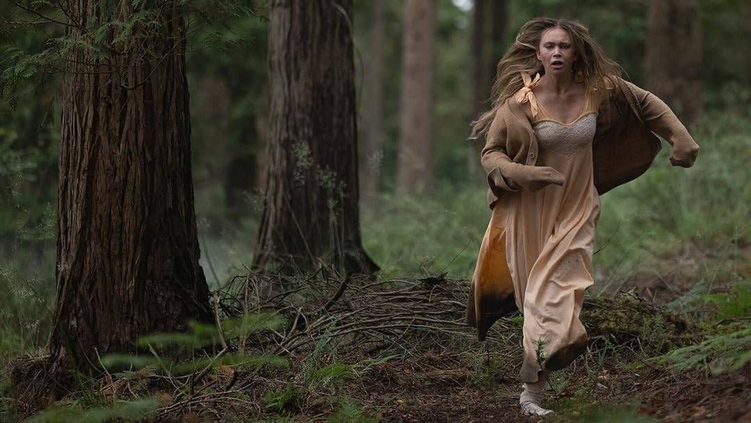 193a92c26df284d2ab2c79c916eb27d67647e76e6f9f54f68a45abcabc75454a. SX1080 FMjpg