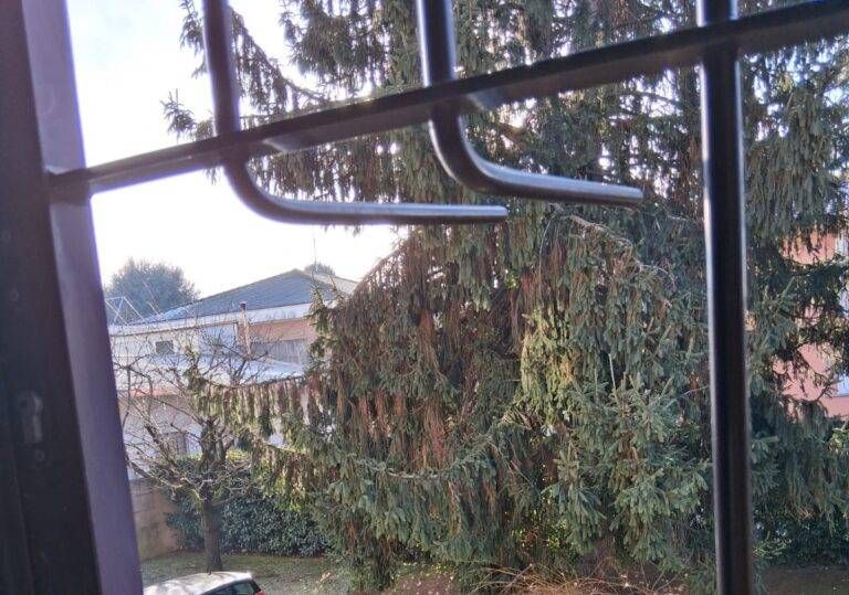 WhatsApp Image 2026 01 06 at 12.42.28 768x539