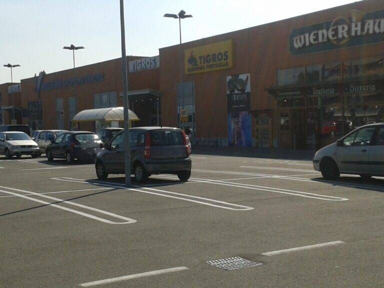 tigros CANCELLARE LE TARGHE 768x576