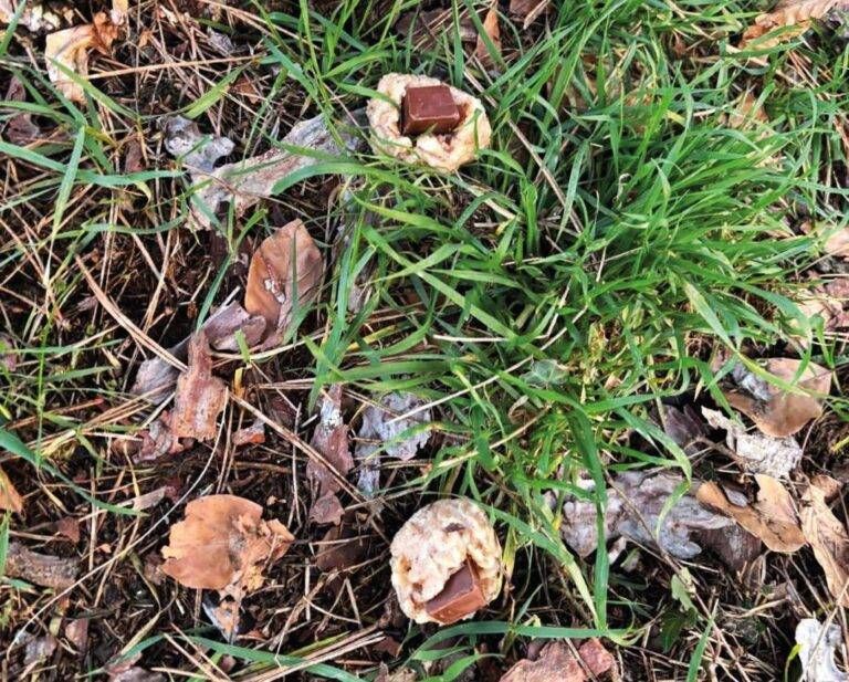 Cesate bocconi avvelenati Villaggio