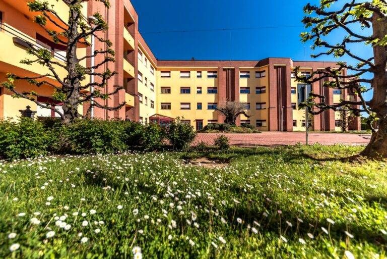 immagine focris 768x513