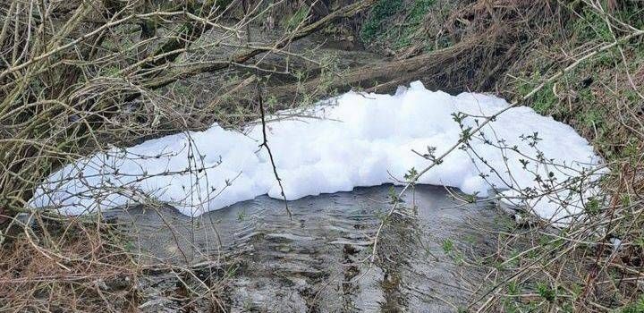 Bollate, misterioso inquinamento delle acque del Pudiga Bollate inquinamento acque Pudiga