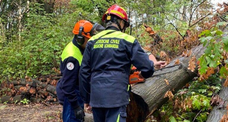 Allerta arancione sul Nord-Milano: il vento forte mette in guardia Bollate, Saronno e i comuni delle Groane Protezione civile vento allerta