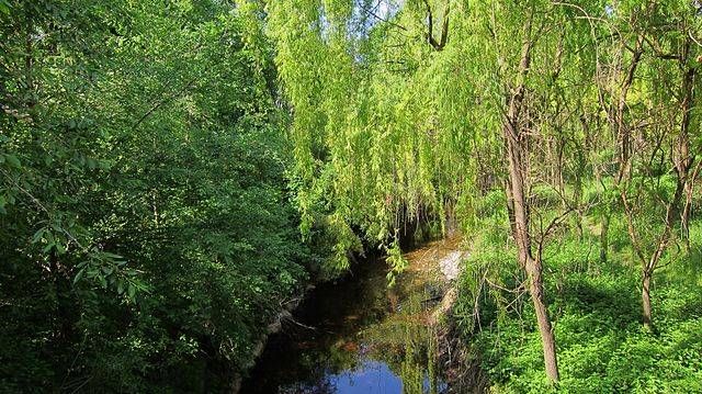 Ravine Lura seen from the bridge north view at the entry of the park Parco del Lura Via Carlo Marx in Saronno 2015 05 10