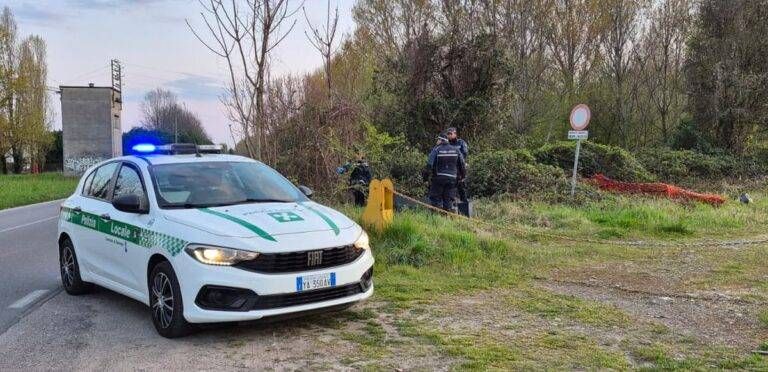 senago casseforti e fuciliera nel bosco