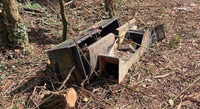 Bollate Nirone slot machine lavandini