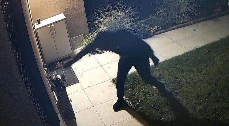 Bollate, ladri in azione: un ombrello per mettere ko la telecamera Bollate ladri ombrello telecamera