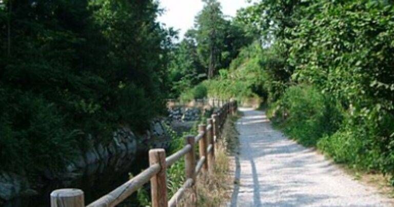 Saronno concerto non autorizzato