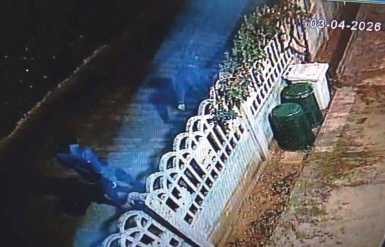 ladri ninja Cesate filmati