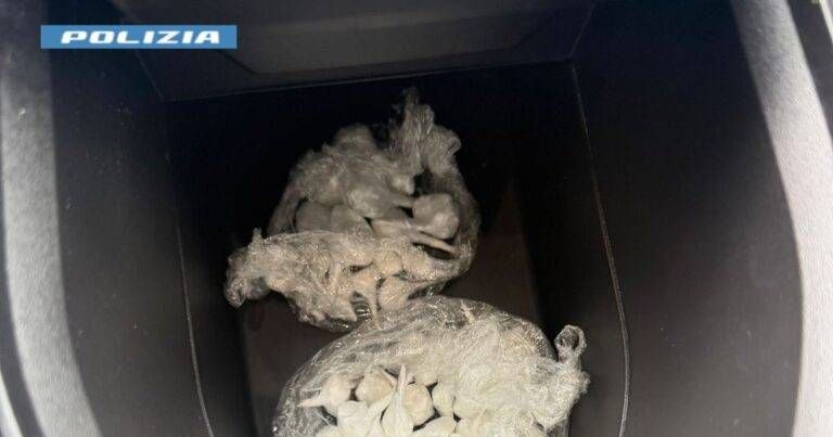 Spaccio Origgio arrestato