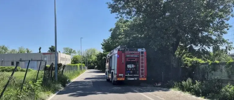Limbiate incendio serra