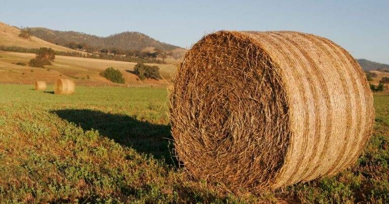 Uboldo, la Festa del Fieno rinviata al 7 giugno per maltempo Uboldo Festa Fieno