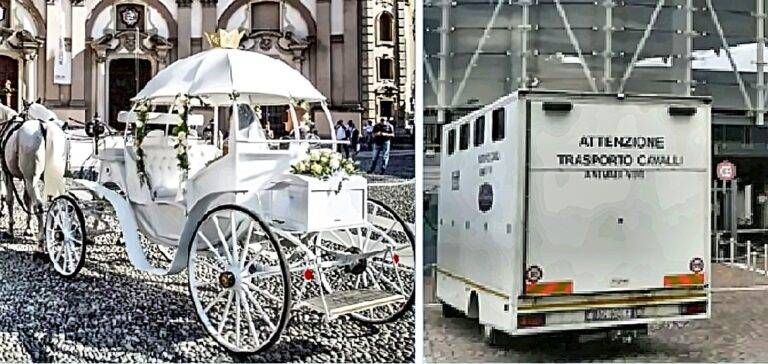 Rubata di notte la carrozza di Cenerentola carrozza cenerentola