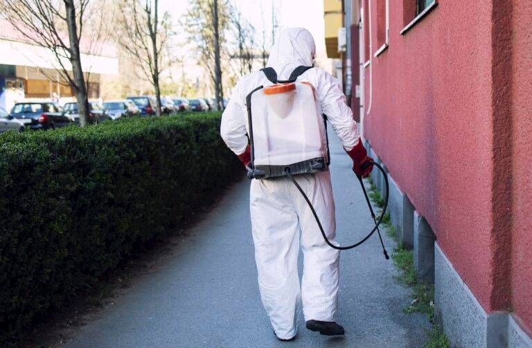 Solaro, disinfestazione straordinaria zanzare per sospetta infezione da Zika Disinfestazione Zanzare Zika Solaro