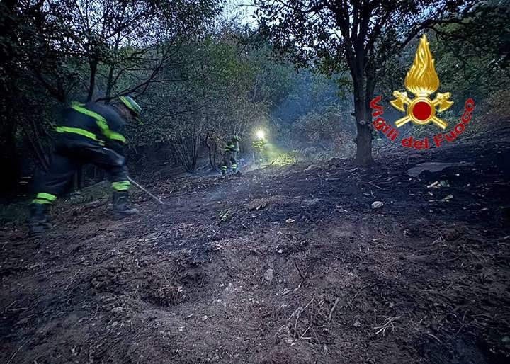 Lombardia, incendi boschivi: vento e siccità complicano le operazioni 6046174537059078252 121