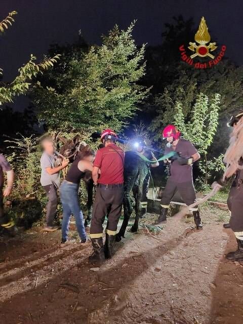 IMG 20260812 222832 648