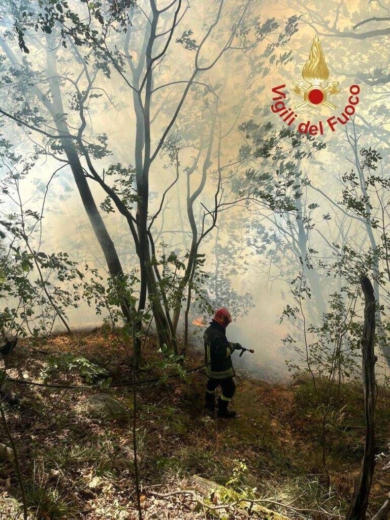 Como, incendio sul Monte Goj: tre elicotteri in azione per contenere le fiamme | VIDEO WhatsApp Image 2026 08 13 at 16.26.21 1 768x1024