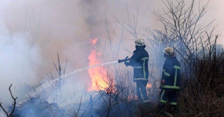 Incendi boschivi in Lombardia, 48 volontari al lavoro: roghi attivi tra Lecco, Sondrio, Milano e Como Lombardia incendi boschivi