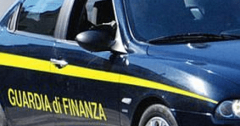 Malpensa, sequestrate 8,5 tonnellate di cibo irregolare nel primo semestre 2026 Malpensa cibo irregolare