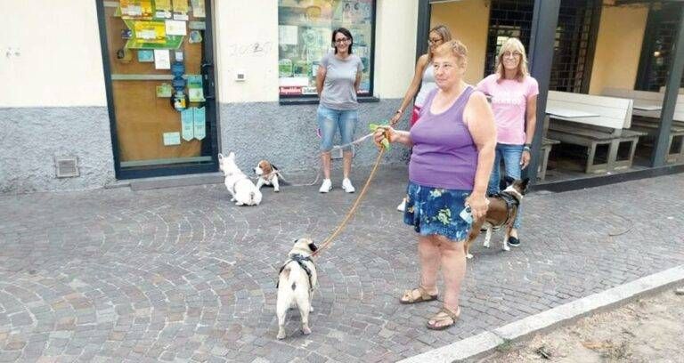 Bollate assembramento cani attesa