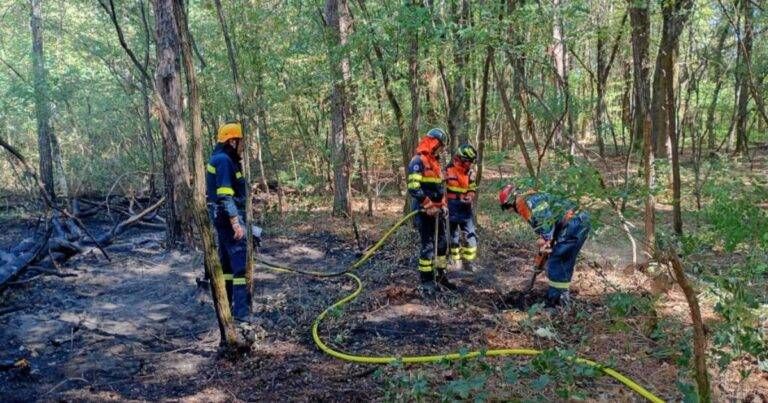 Ceriano Laghetto, incendio nel bosco vicino all’ex Polveriera: mille metri quadrati in fumo Ceriano Laghetto incendio polveriera