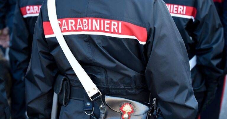 Malpensa, arrestato dai Carabinieri sul treno dopo aver rubato un trolley con 15mila euro di vestiti Malpensa arrestato Carabinieri