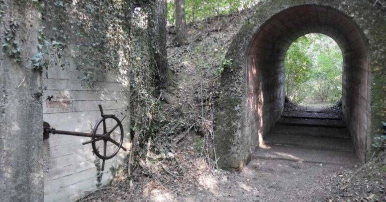 Ville Aperte in Brianza, un luogo speciale apre le porte nelle Groane Ville aperte Brianza