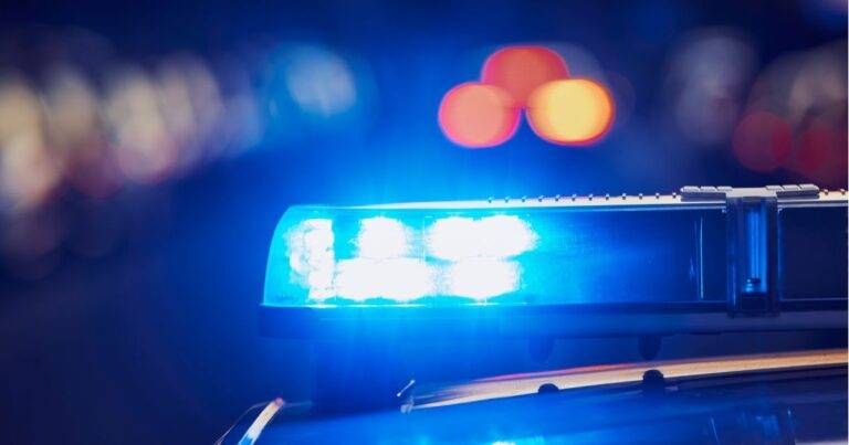 Rogoredo San Donato controlli